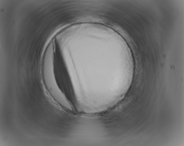 X0000081351008200702020110