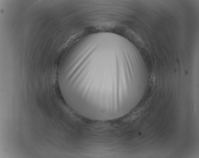 X0000081351012200702020109