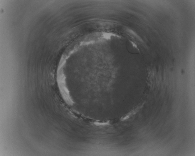 X0000081351013200702020109