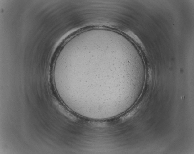 X0000081351020200702020109