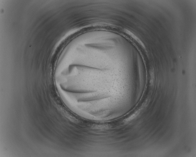 X0000081351021200702020109