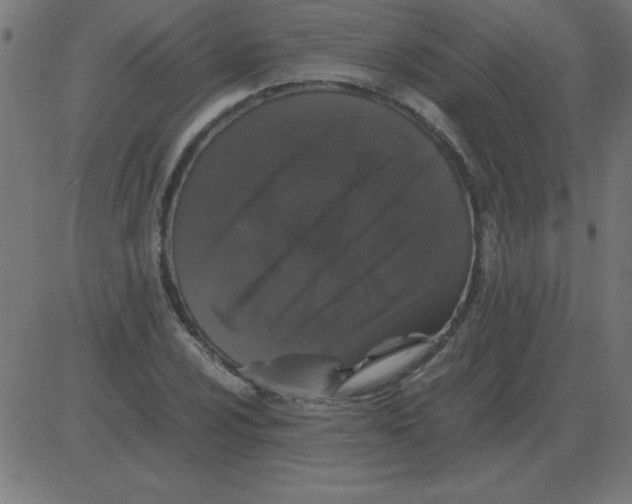 X0000081351024200702020109