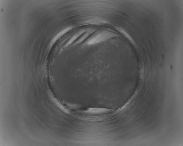 X0000081351026200702020109