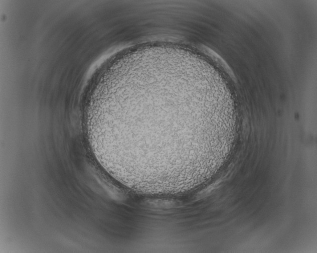 X0000081351027200702020109