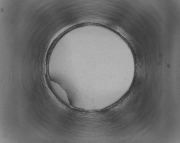 X0000081351028200702020109