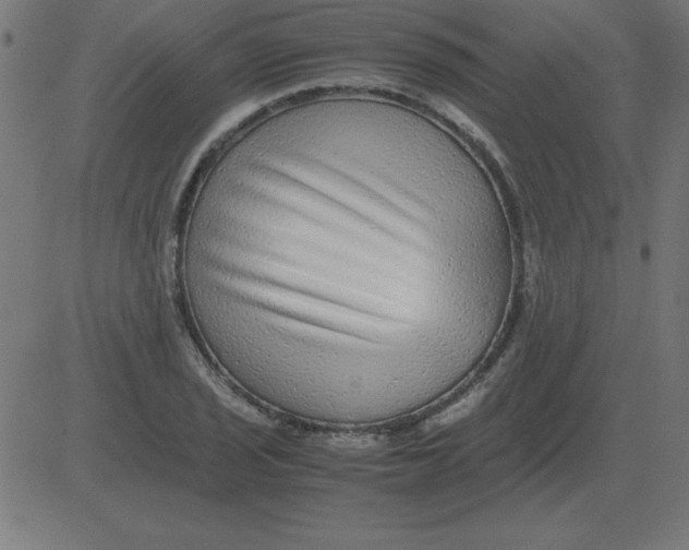 X0000081351029200702020109