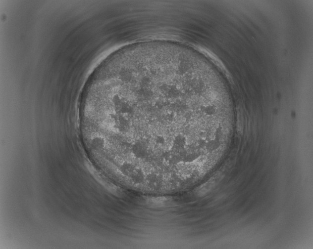 X0000081351031200702020109