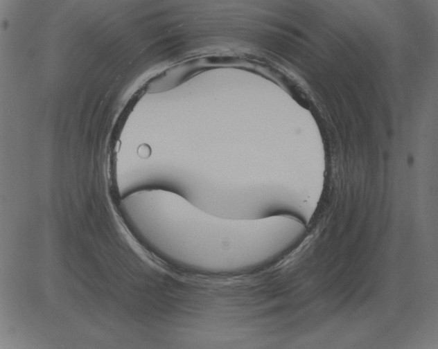 X0000081351034200702020109