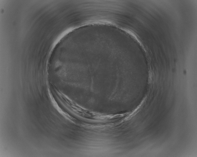 X0000081351038200702020109