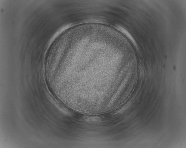 X0000081351043200702020109