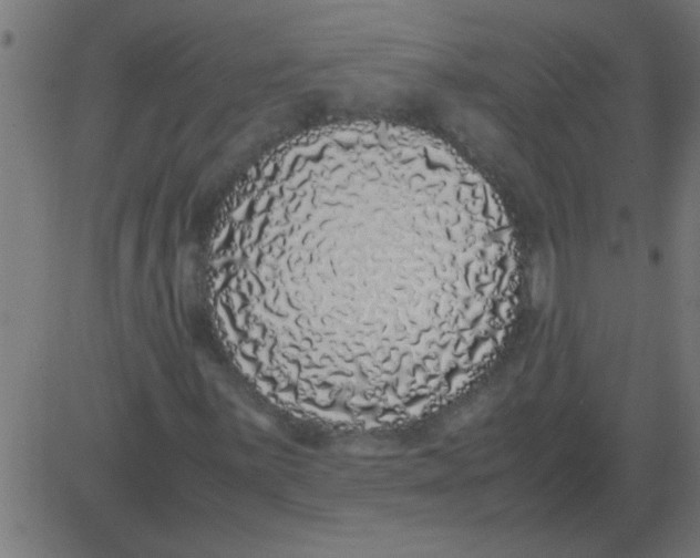 X0000081351059200702020109