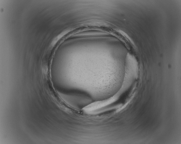 X0000081351065200702020109