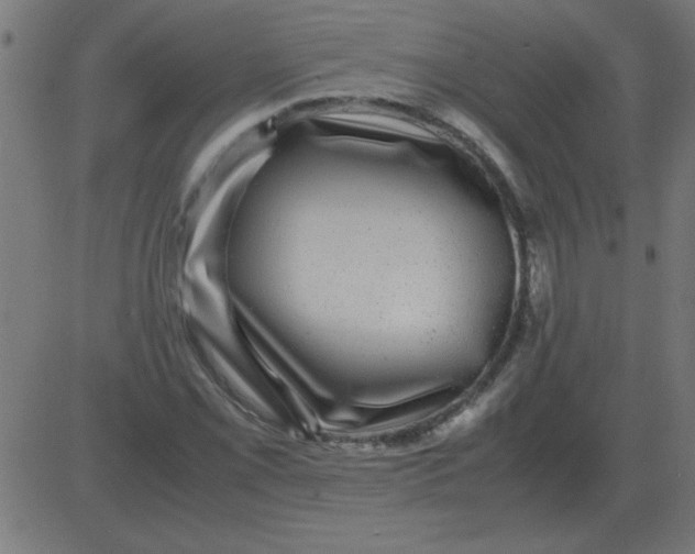 X0000081351069200702020109