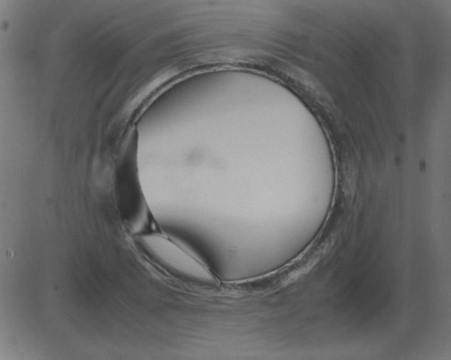 X0000081351073200702020109