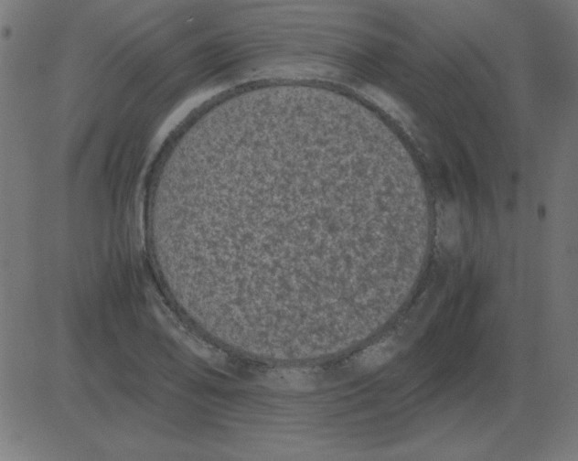 X0000081351078200702020108