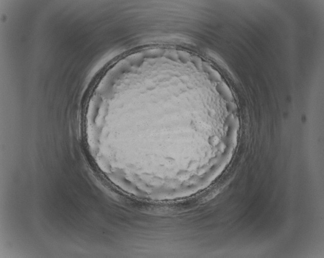 X0000081351079200702020108