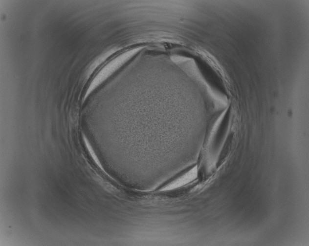 X0000081351081200702020108