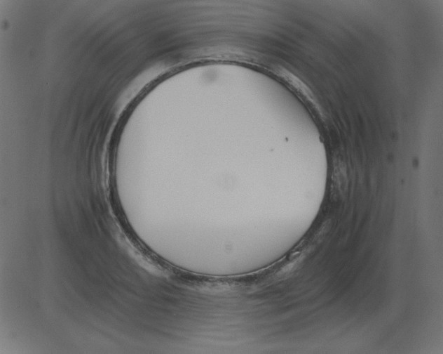 X0000081351082200702020108