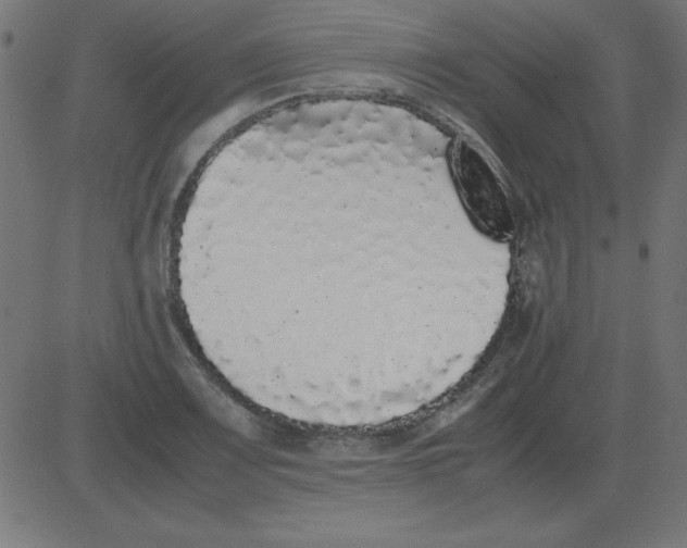 X0000081351083200702020108
