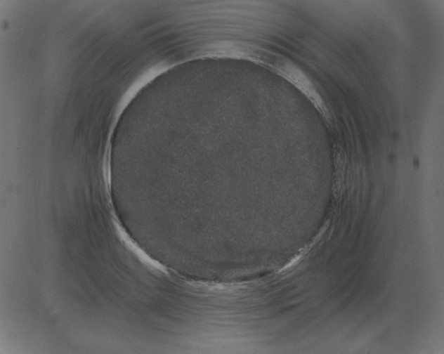 X0000081351084200702020108