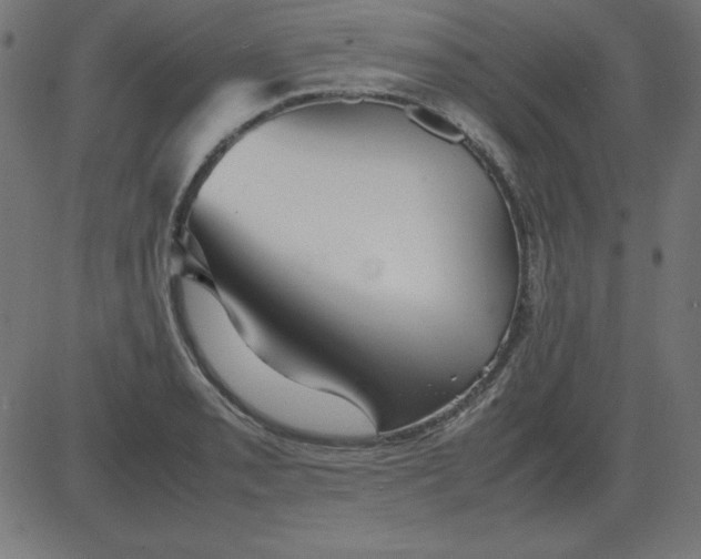 X0000081351085200702020108