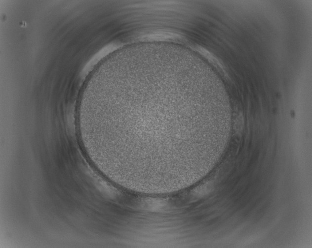 X0000081351086200702020108