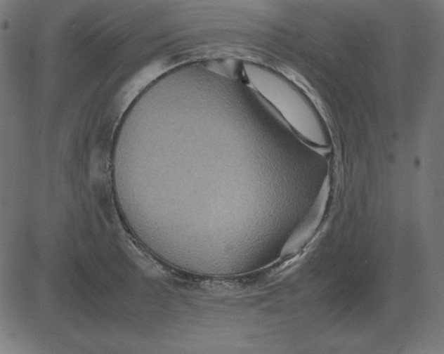 X0000081351089200702020108