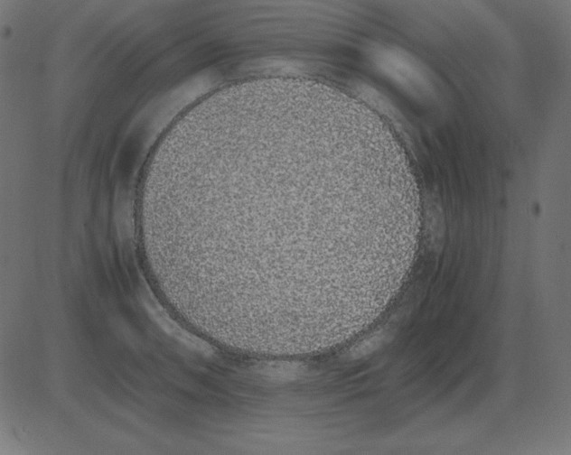 X0000081351090200702020108