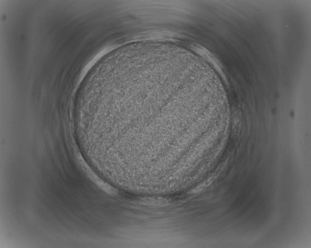 X0000081351091200702020108