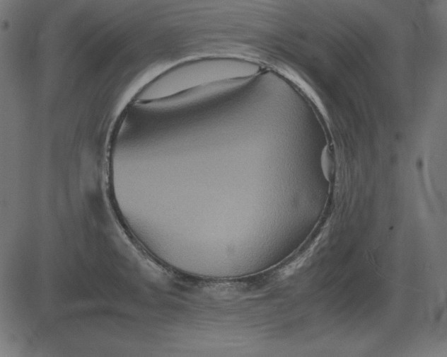 X0000081351093200702020108