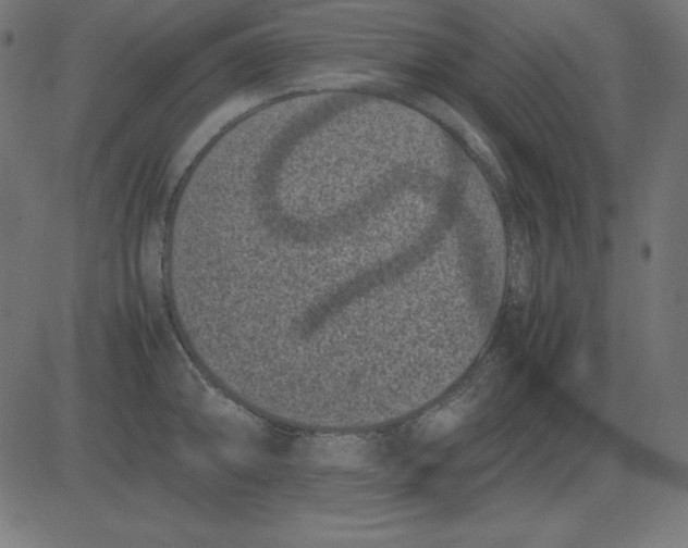 X0000081351094200702020108