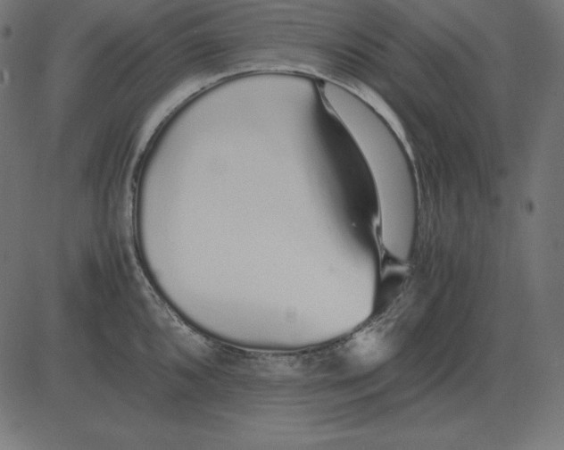 X0000081351096200702020108