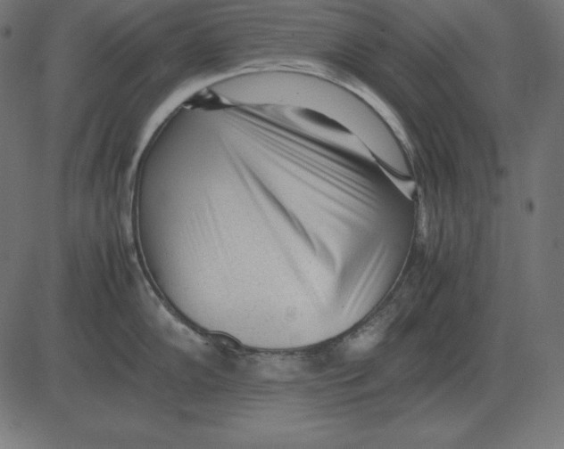 X0000081351102200702020108