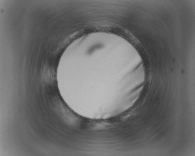 X0000081351108200702020107