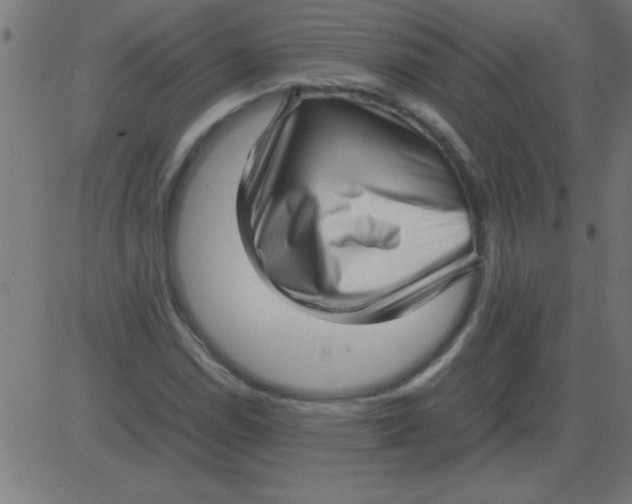 X0000081351114200702020107