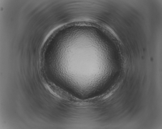 X0000081351116200702020107