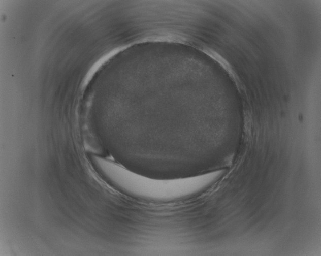 X0000081351120200702020108