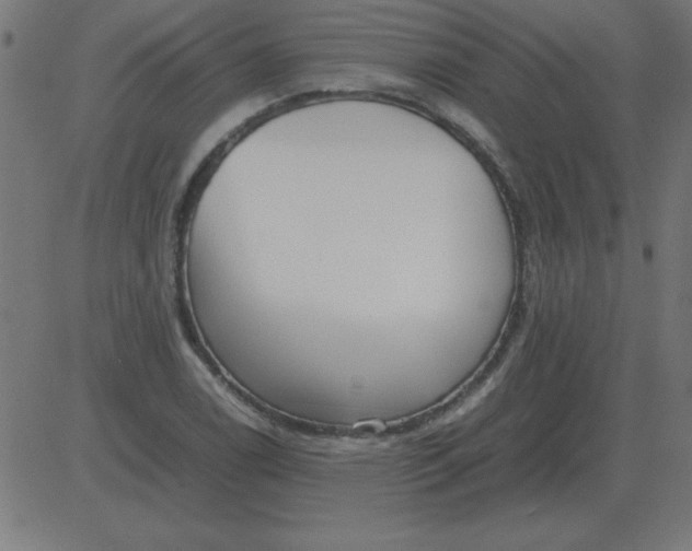 X0000081351122200702020108