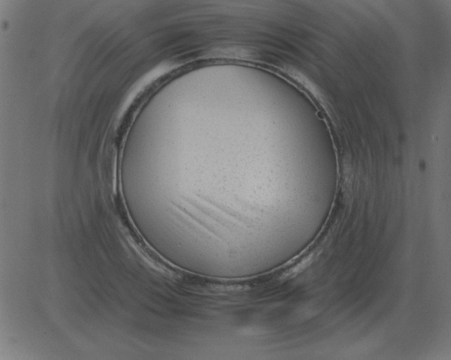 X0000081351123200702020108