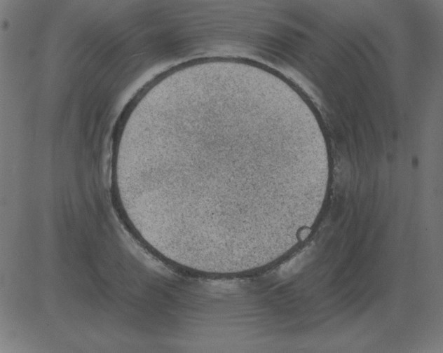 X0000081351126200702020108