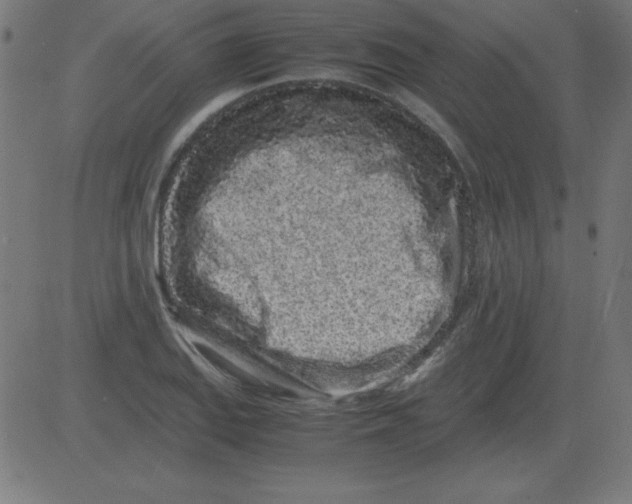 X0000081351127200702020108