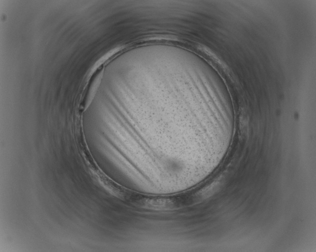 X0000081351129200702020108