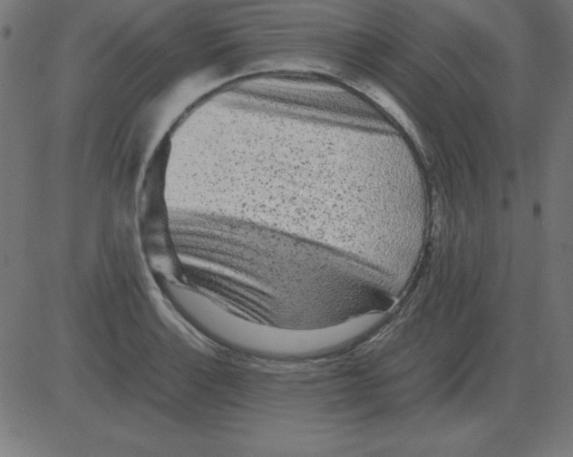 X0000081351132200702020108