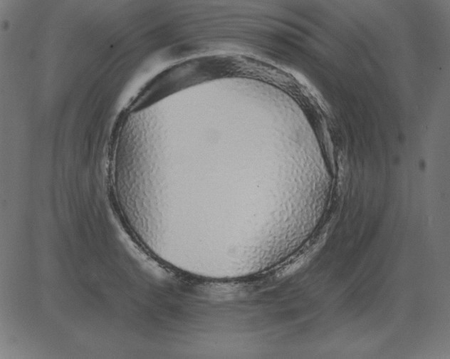 X0000081351134200702020108