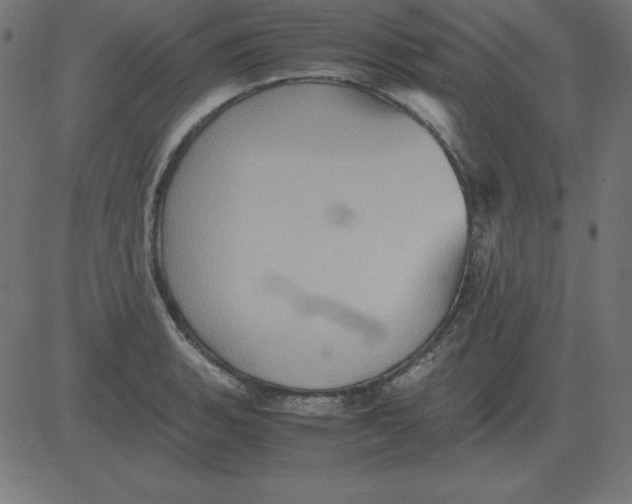 X0000081351135200702020108