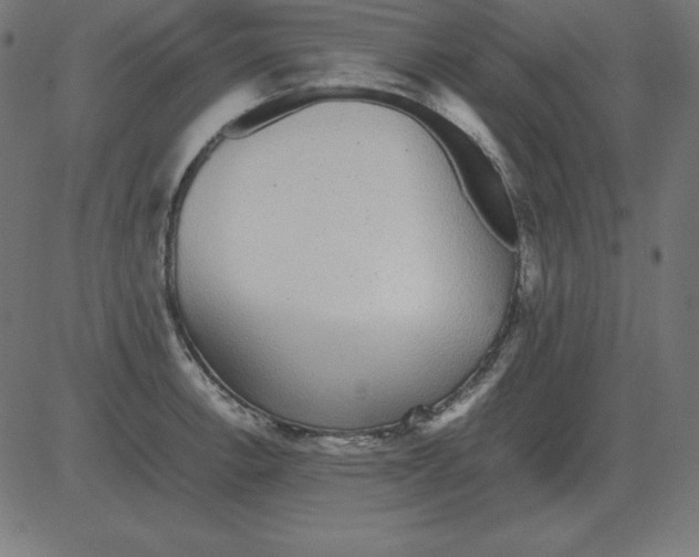 X0000081351138200702020108