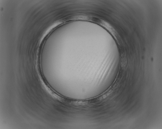 X0000081351139200702020108