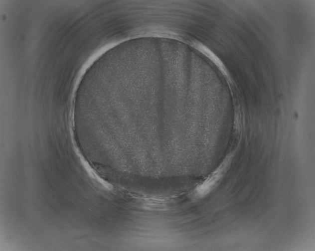 X0000081351144200702020108