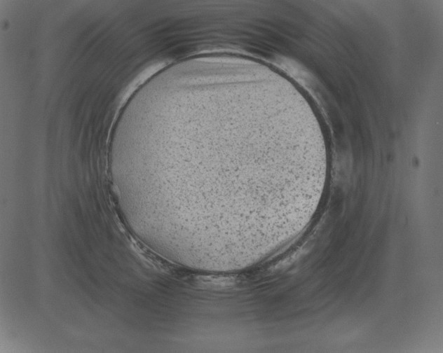 X0000081351145200702020108