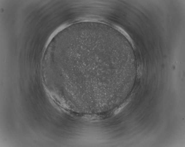 X0000081351146200702020108